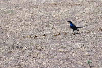 DSC_3470 (Large).JPG